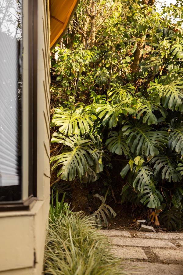 Gamai Monteverde Tiny House Εξωτερικό φωτογραφία